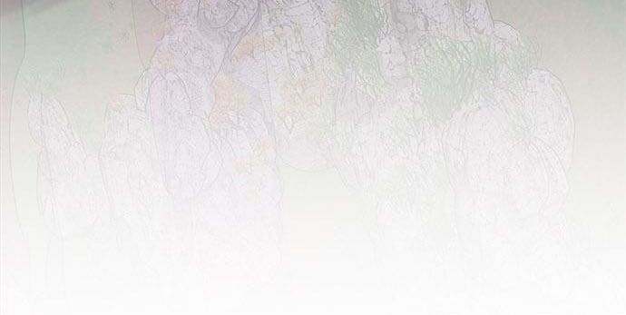 page 252