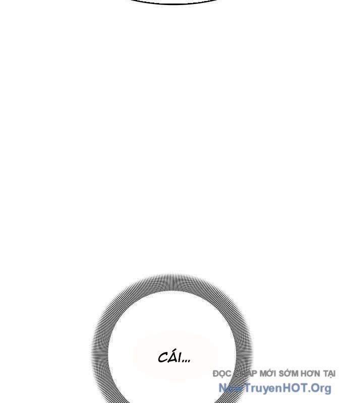 page 217