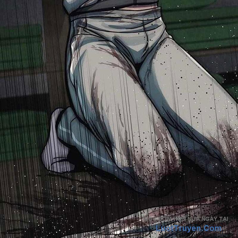 page 355
