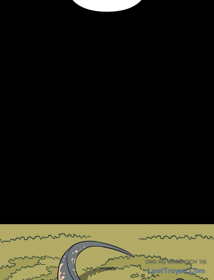 page 217