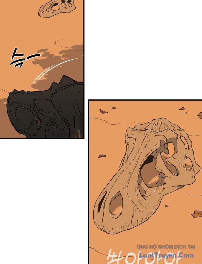 page 229