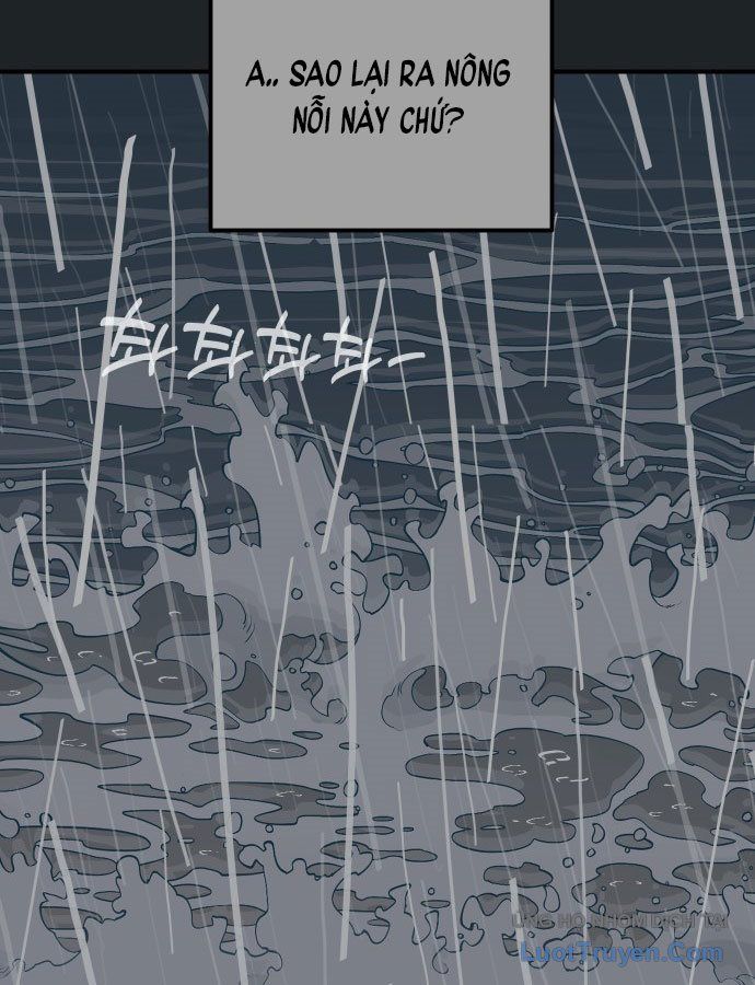 page 338