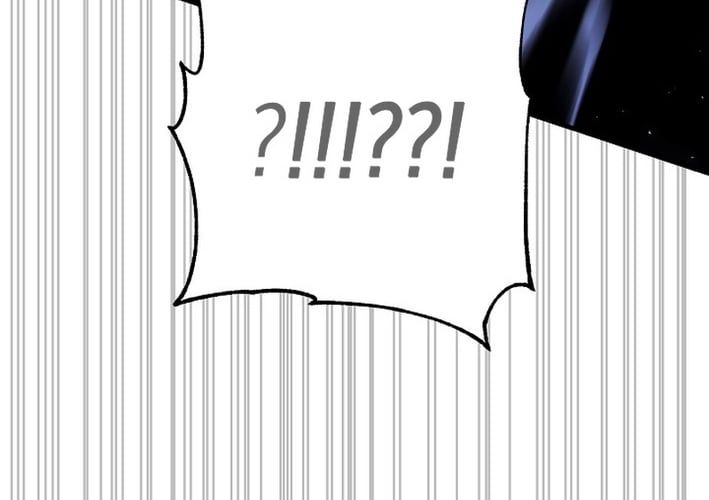 page 219
