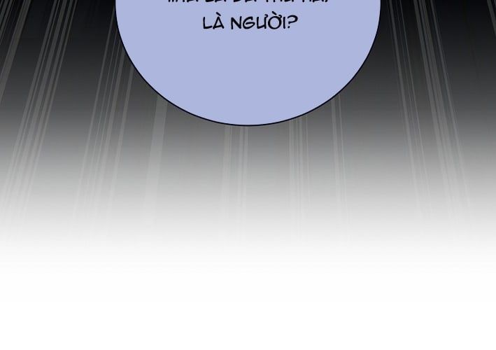 page 258