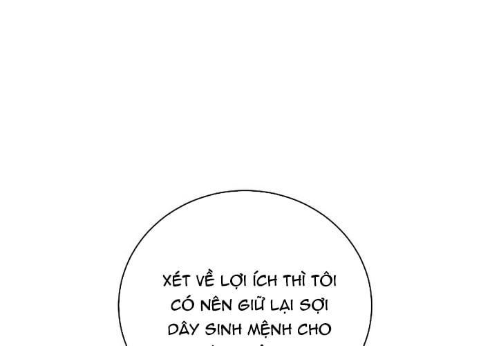 page 233