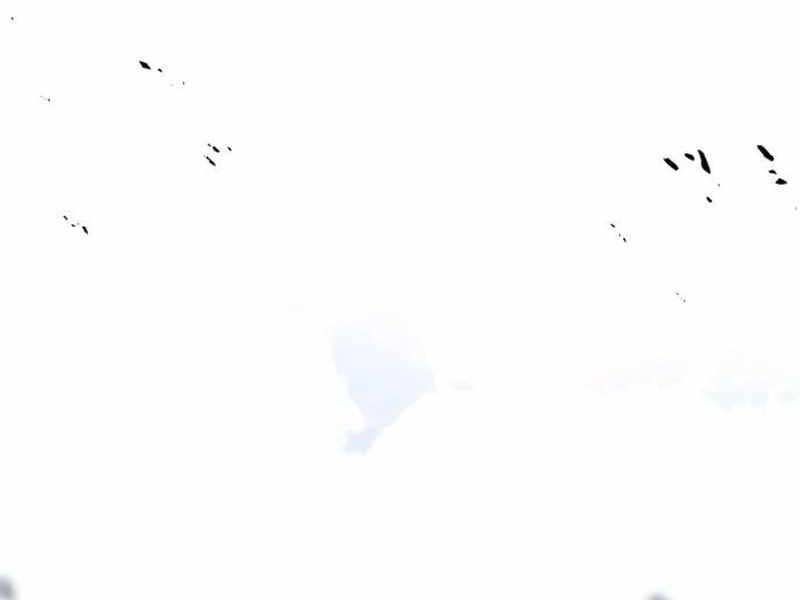 page 230