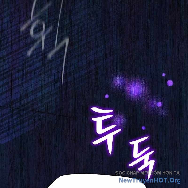 page 217