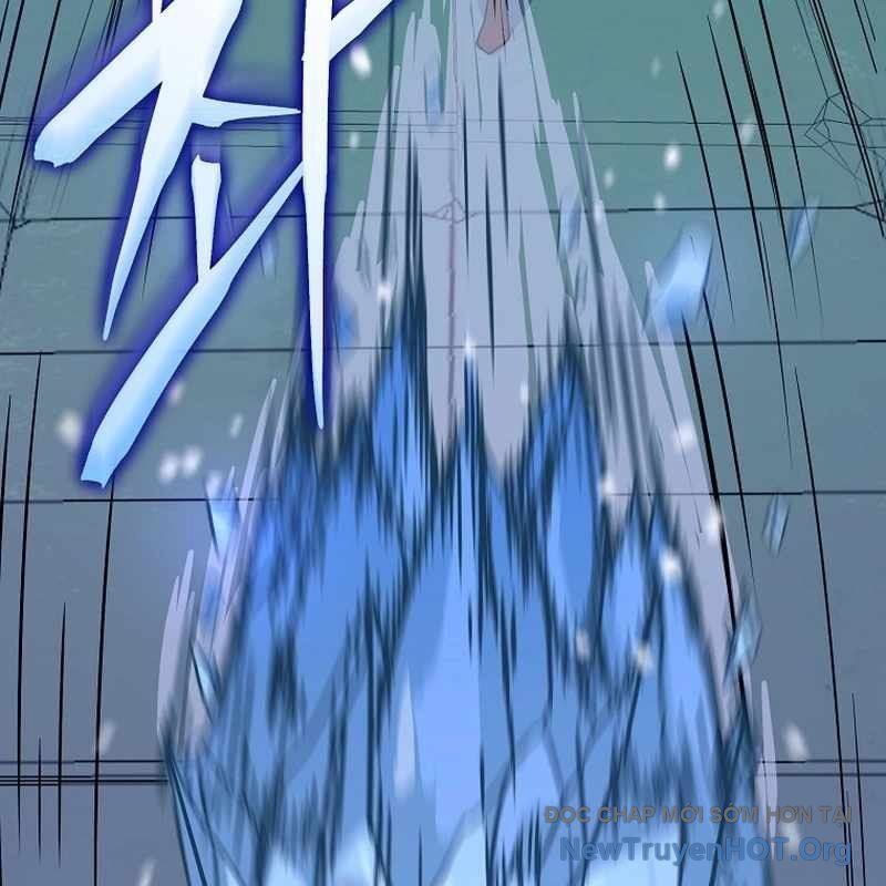 page 219