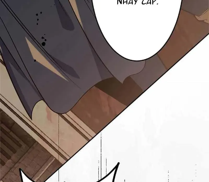 page 242