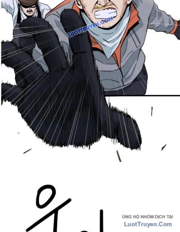 page 229