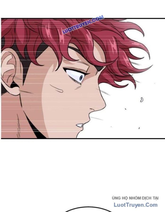 page 233