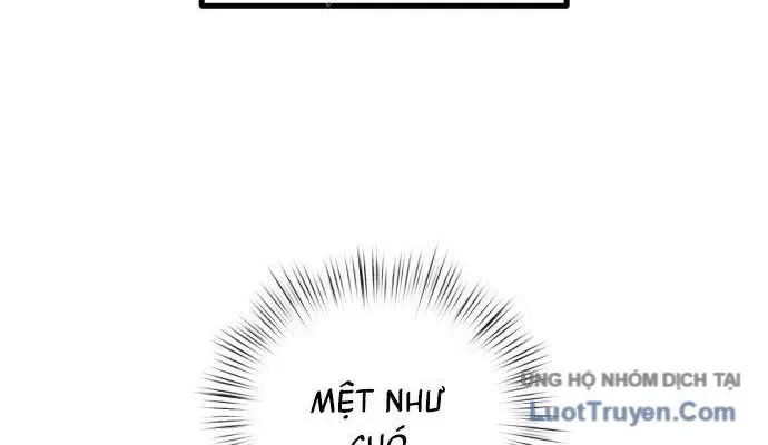 page 203