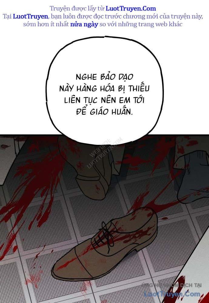 page 268