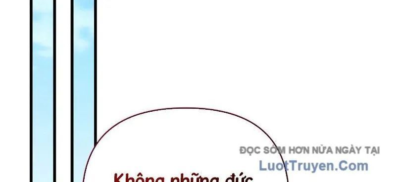 page 262