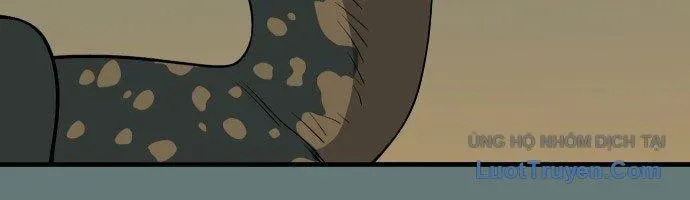 page 294