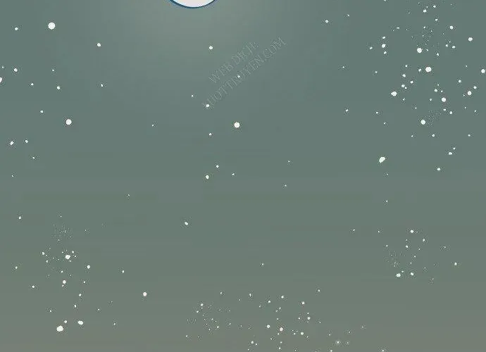 page 296