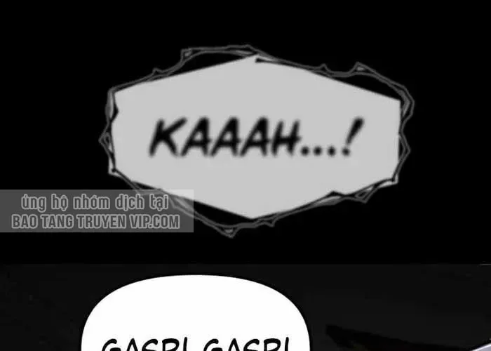 page 218