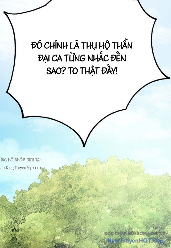 page 233