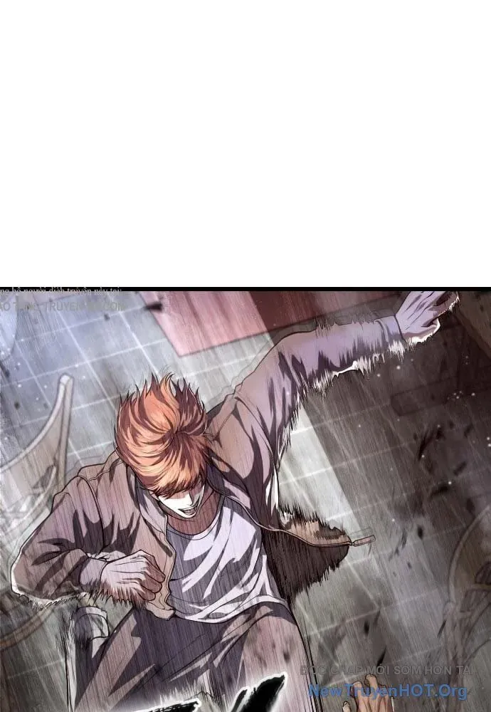 page 238