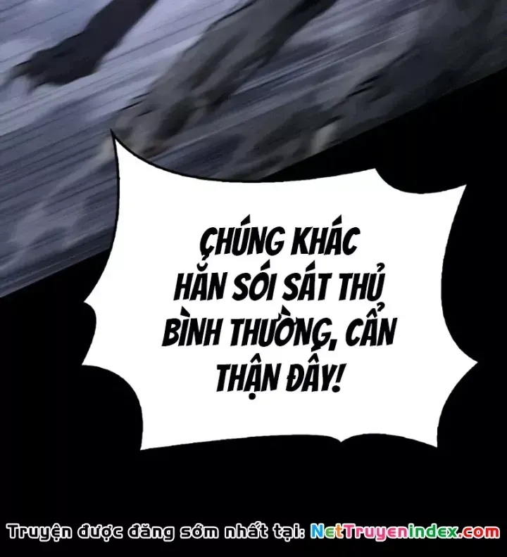 page 245