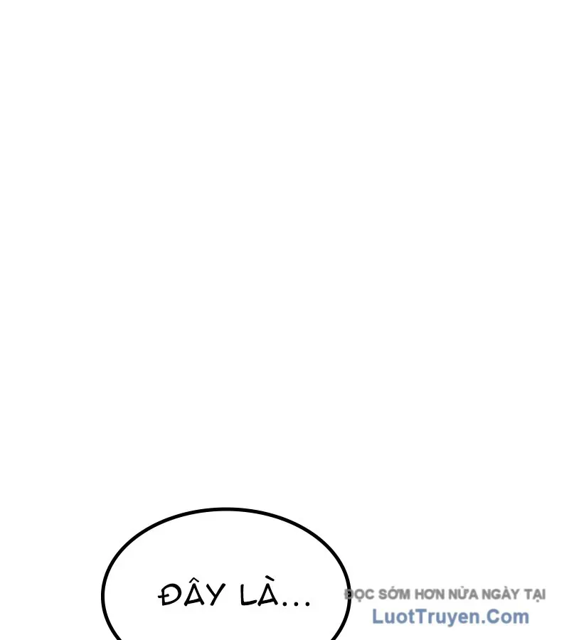 page 239