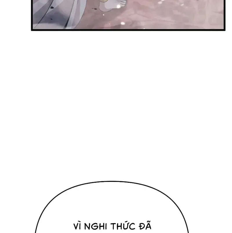 page 241