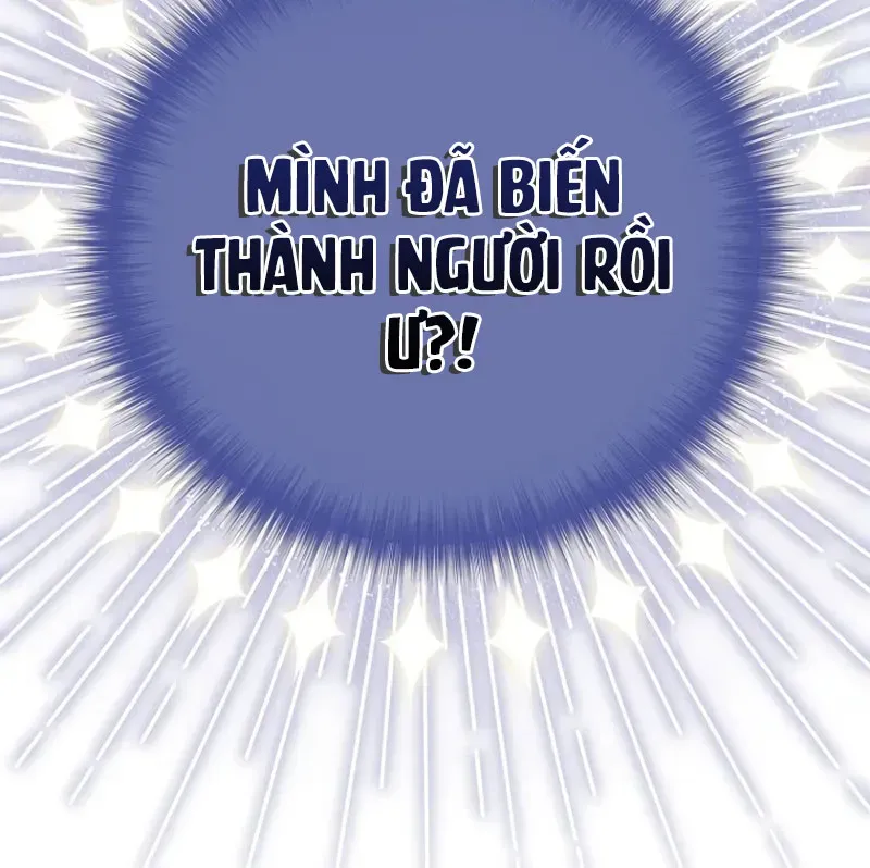 page 278