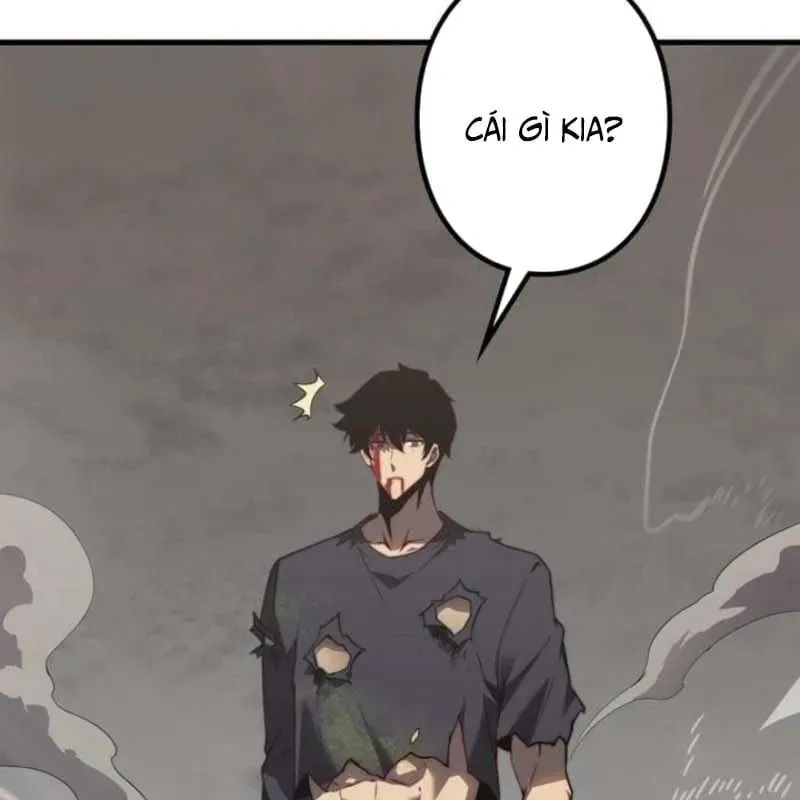 page 215