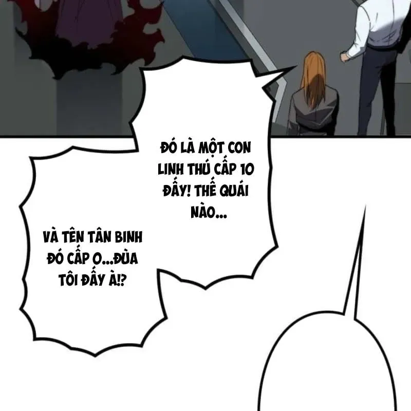 page 233