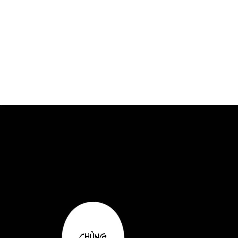page 262