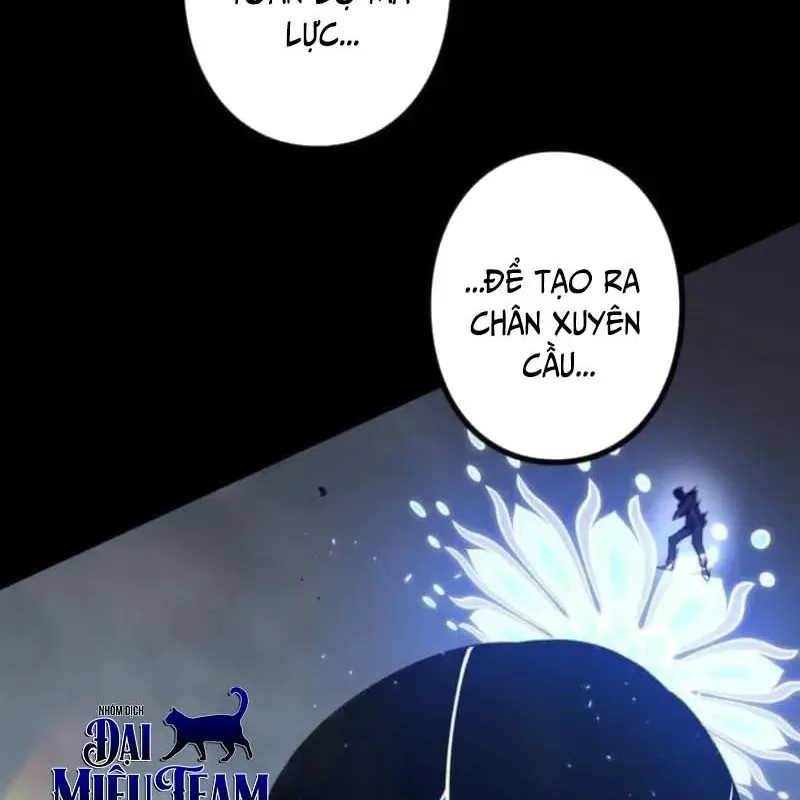 page 217