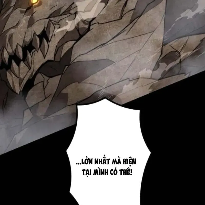 page 219