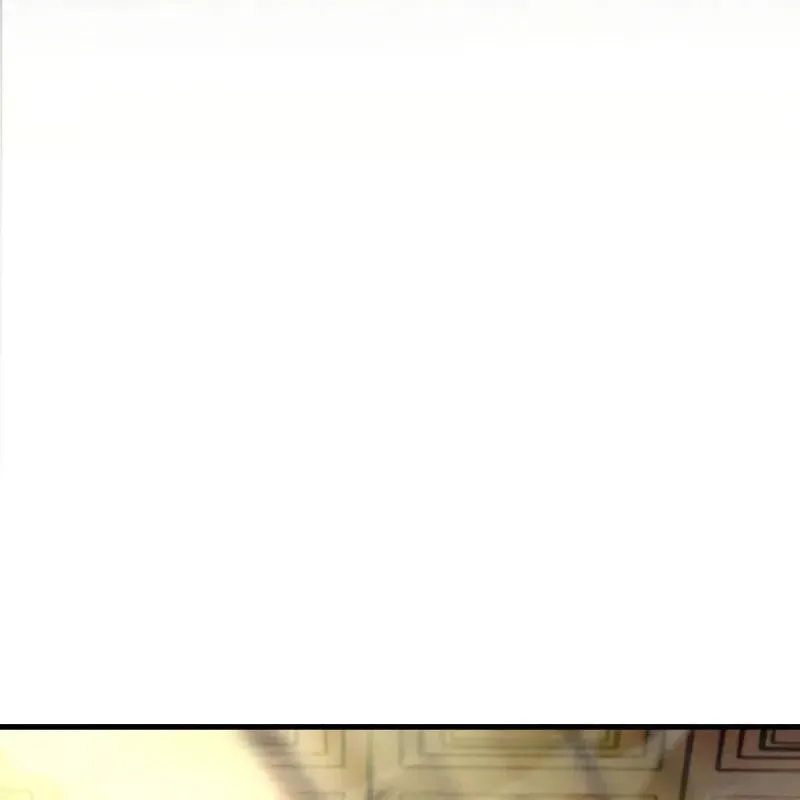 page 233