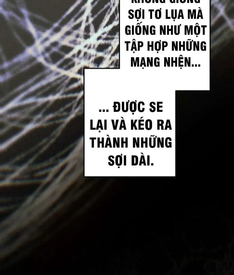 page 237