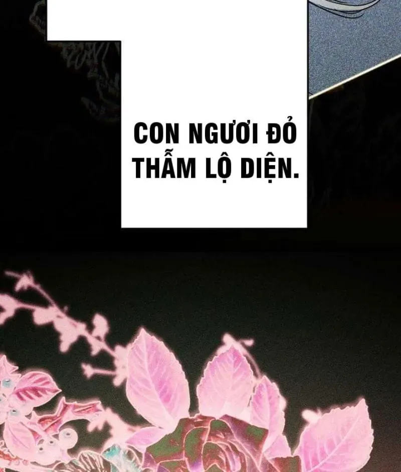 page 242