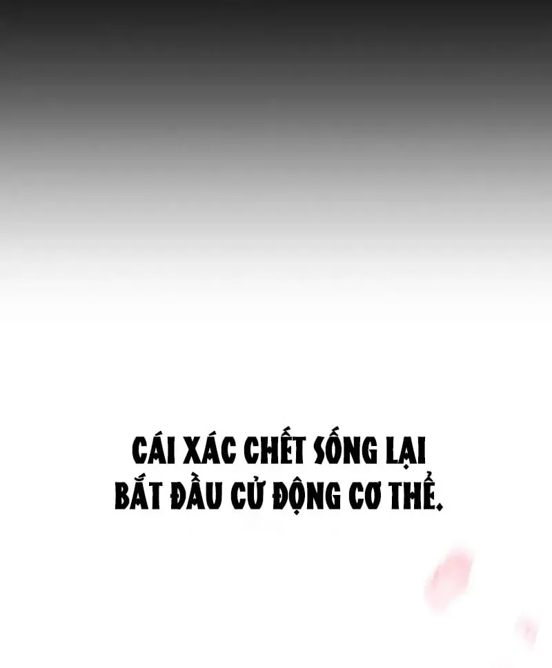 page 255