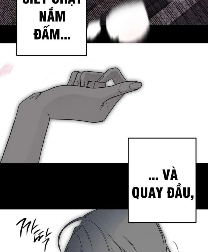 page 258
