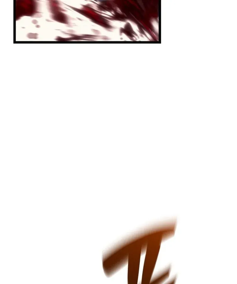 page 215