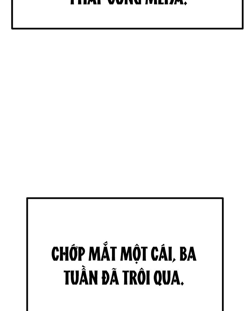 page 282
