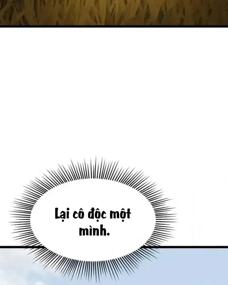 page 241