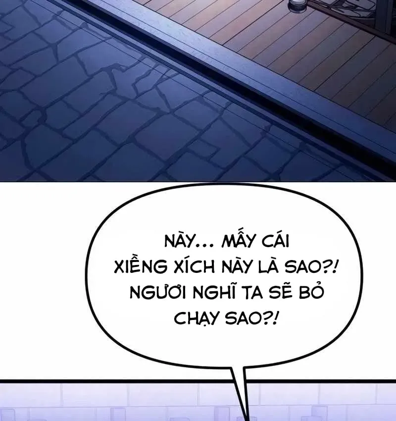 page 233