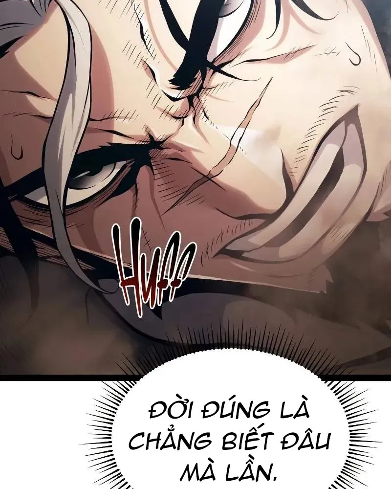 page 231
