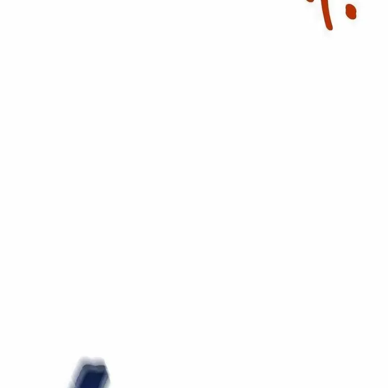 page 264
