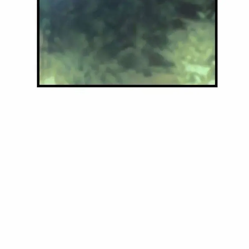 page 270