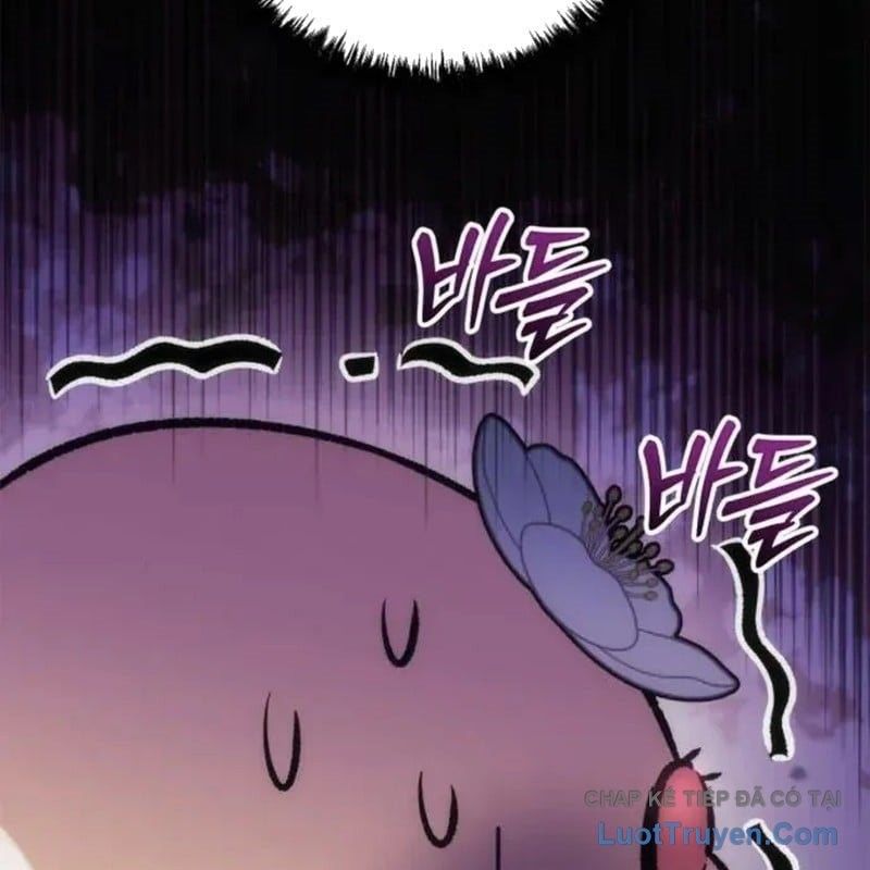 page 217