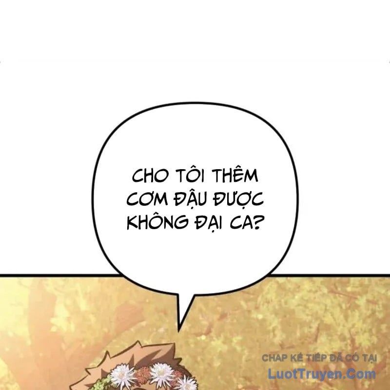 page 233