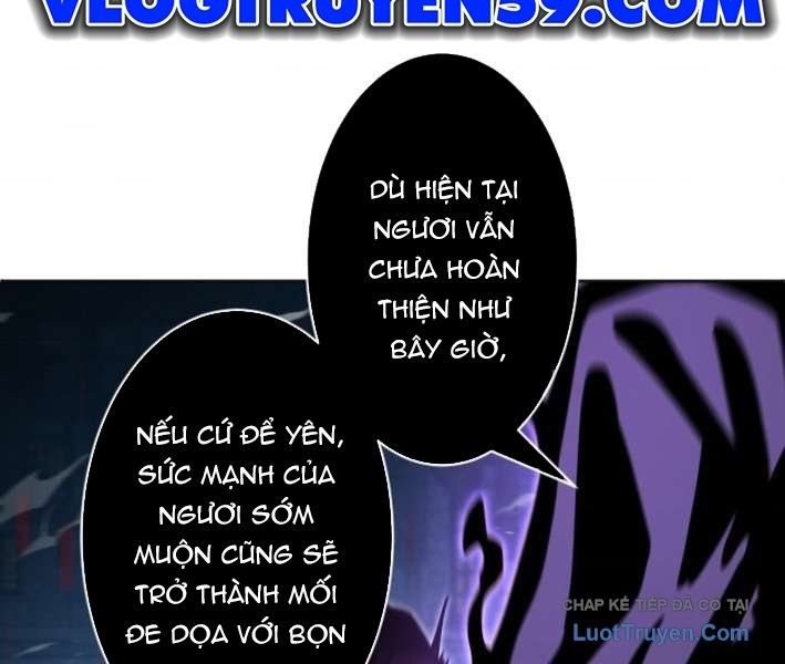 page 219
