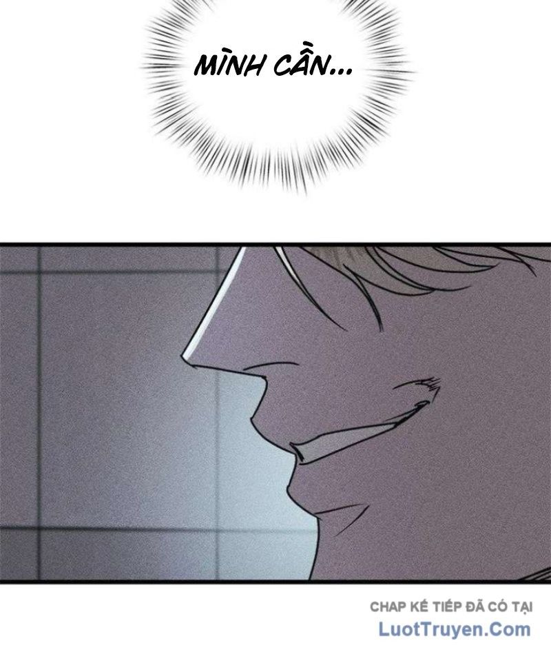 page 217