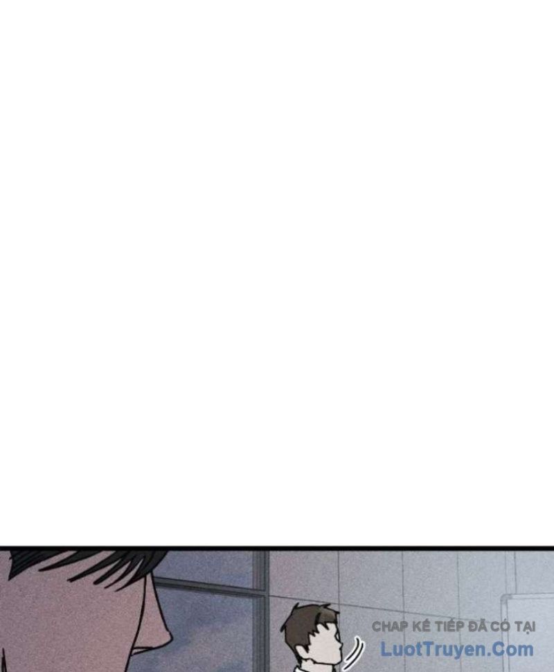page 234