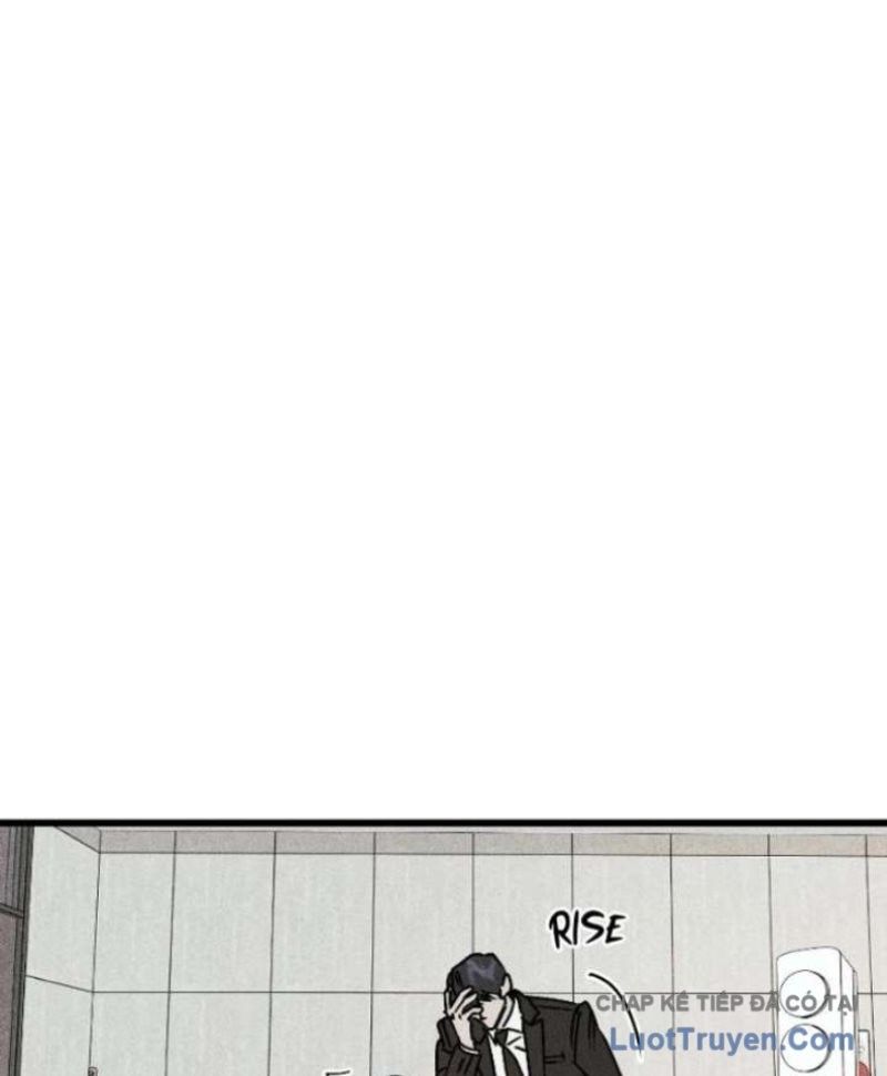 page 238